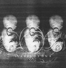 Immuno Affinity	Slaves of DNA